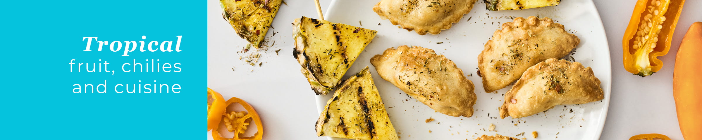 FF25_Trend_sub-header_tropical-vibes_2400x480_final