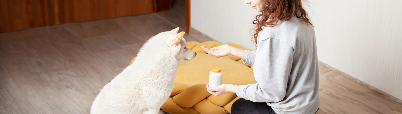 pet_supplement_dog_with_woman