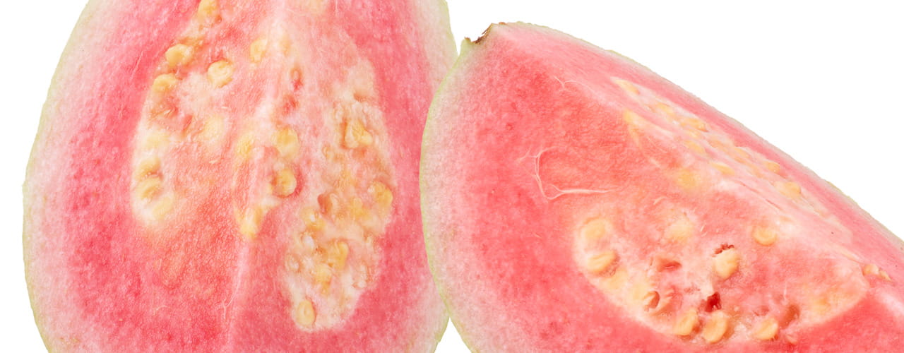 9925-Flv-Spotlight_1280-x-500_guava