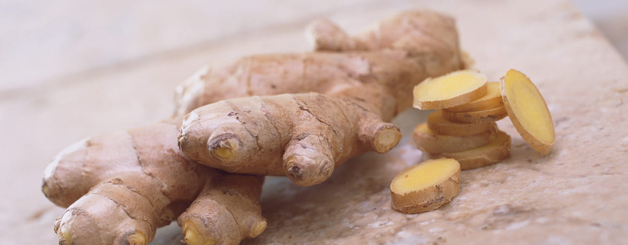 111125-Flv-Spotlight_1280-x-500_Ginger